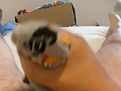 Gray Daffy Duck socks (LT051)
