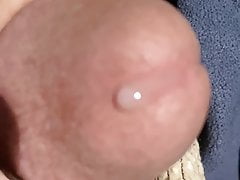 Edging and Milking cum.