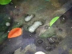 sexy man cum on saari village handjob