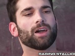 RagingStallion When The Boss Is Not Around