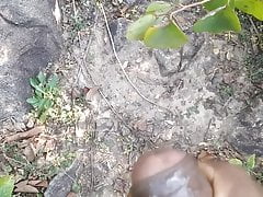 Forest sex
