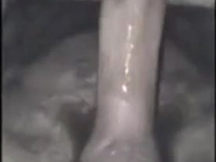 Bareback Creampie Upshot 2