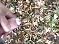 My piss to friends