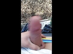 amateur pampering at home and in the forest with a beautiful large vascular penis,
