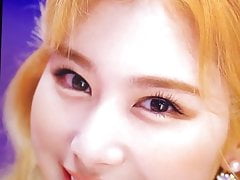 Sana tribute