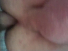 Craigslist Breeding 2