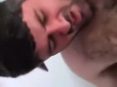 Brasilian Bears, Ursos brasileiros I