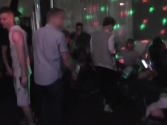 Scorching Studs Smashing At The Soiree