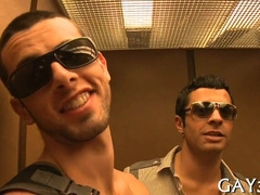 Mind-Blowing Homo Humping