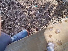 Outdoor nature cum