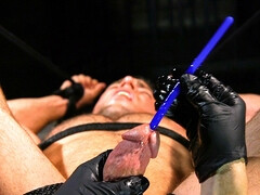 BDSM anal domination for Alex Mecum