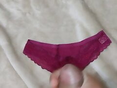 Cumming on sisters panties