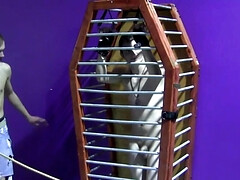 Caged boy wants his master to set him free and fuck him