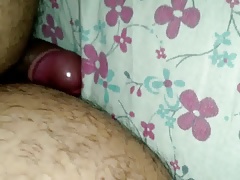 Urso rosando