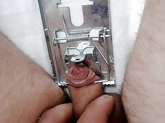 Small penis and mouse trap. Cbt BDSM solo