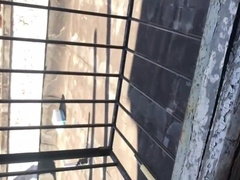 Quick Nut at work