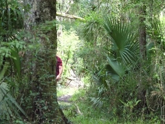 Muscle beefy Lumberjack - Slick Rick from The Guy Site