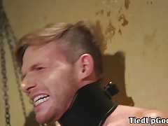 Tiedup bdsm hunk clamped after cocksucking