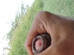 In jungle onanism so scorching