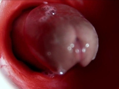 A large marvelous trunk streams amply inwards a raw slimy slot and slaps!