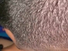 Dl bull getting head from another pr dl bull