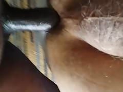 bareback daddies