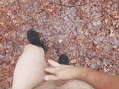 Walking around the park
