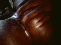 Black Butt On Jamboree
