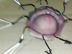 Cbt extreme cock torture with fishhooks  part 1