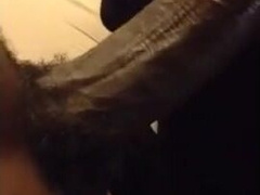 Black Dick Sucked by a White Guy