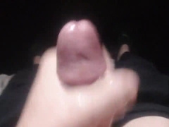 Fledgling Joe pop-shot