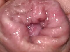 Foreskin up close with piss