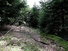 Outdoor im Wald gepisst und abgespritzt