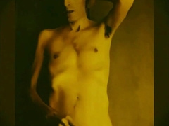 Brit Freddie Sunfields in Yellow Lights