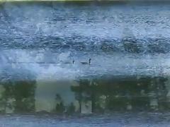 Gay sex up ass video Bareback Scouts Earn A Badge