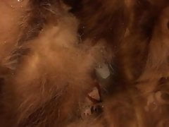 Piss on Fox Fur Vest