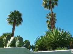 Palm Springs Day Pass