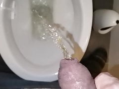 Pisss