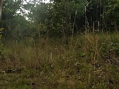 Farm land fun