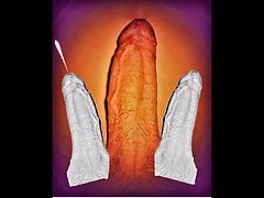 Penis - Explosion