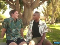 Huge black dick twink takes on a facial from a bi-racial slut and loads of jizz