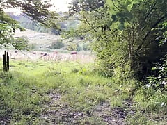 Risky Public Handjob - The Train is Coming