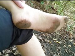 Little Nylon Forest Walk