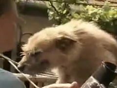 BA Behind the camera Cherries