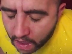 Piss drinking pig