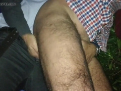 Cruising n the night forest