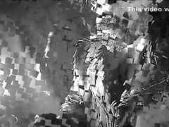 Nastibear Fetish Art two