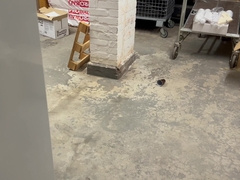 Ravaged Gina after a long time