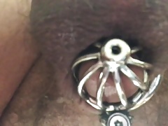 IMG 0657.MOV