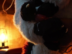 Husky Fursuiter Suspension Jerkoff